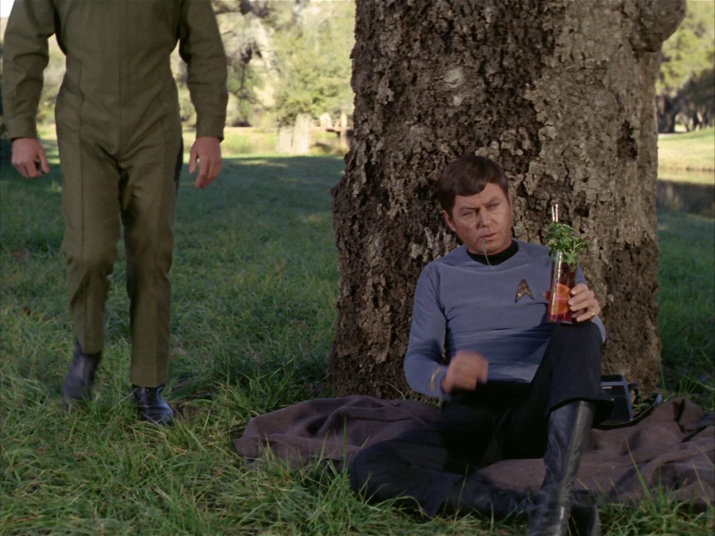 ariane179254_StarTrek_1x24_ThisSideOfParadise_2981.jpg