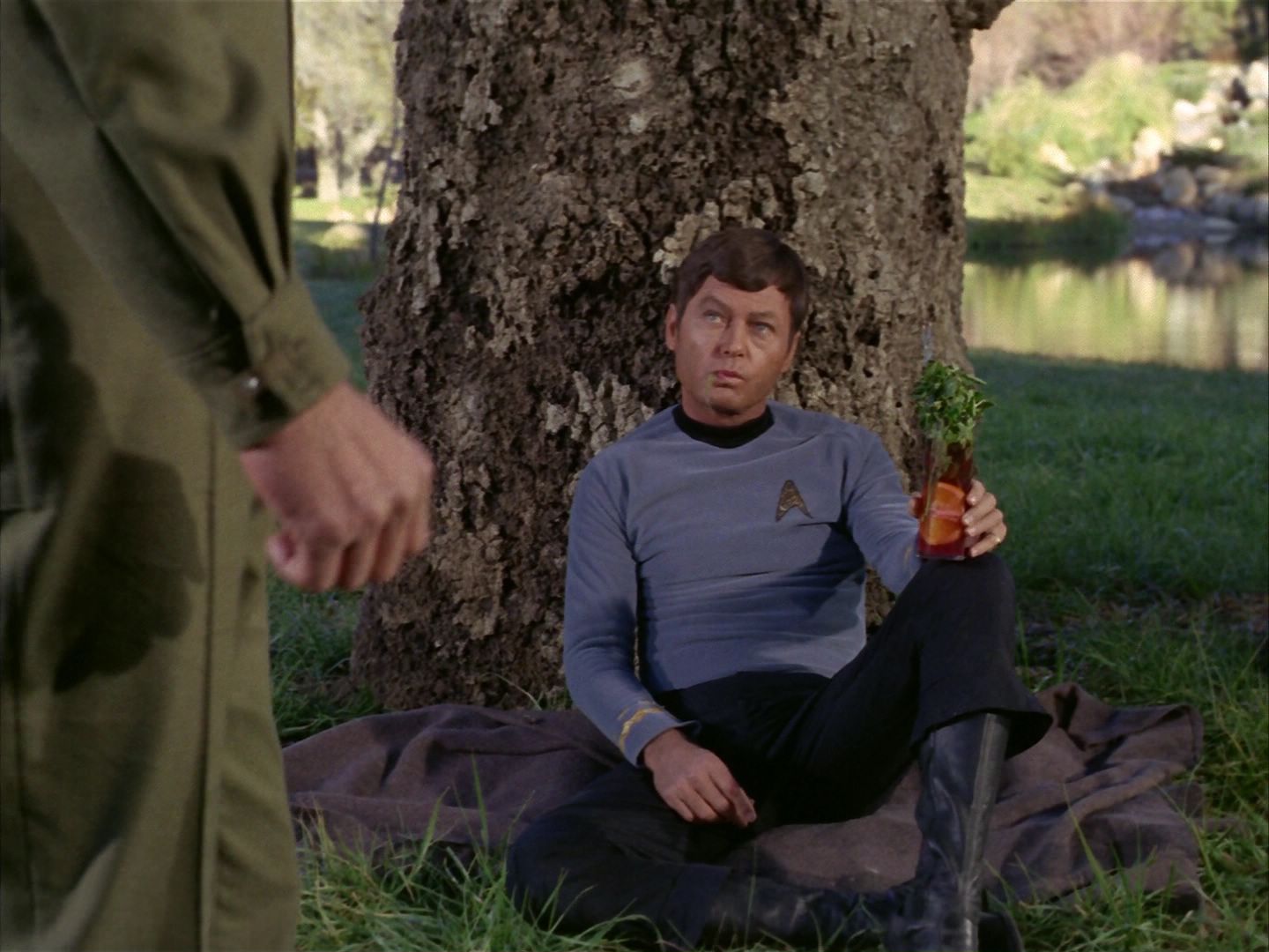 ariane179254_StarTrek_1x24_ThisSideOfParadise_2984.jpg