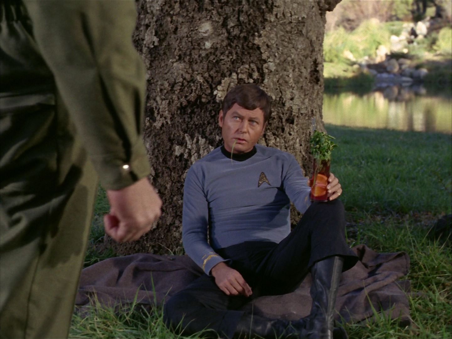 ariane179254_StarTrek_1x24_ThisSideOfParadise_2986.jpg