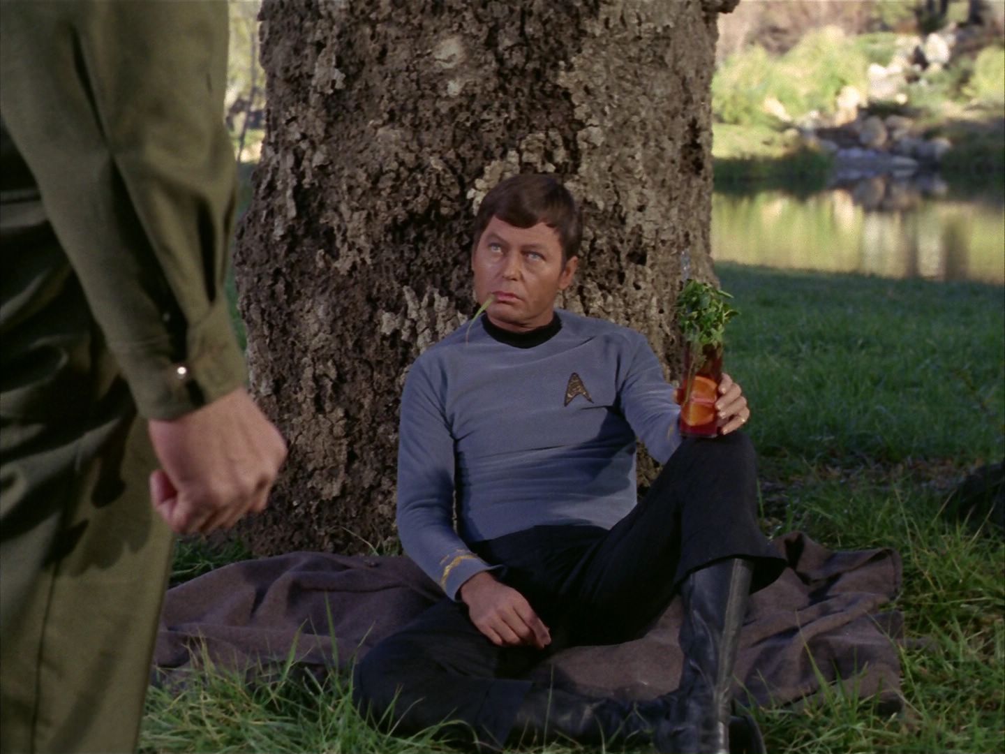 ariane179254_StarTrek_1x24_ThisSideOfParadise_2988.jpg