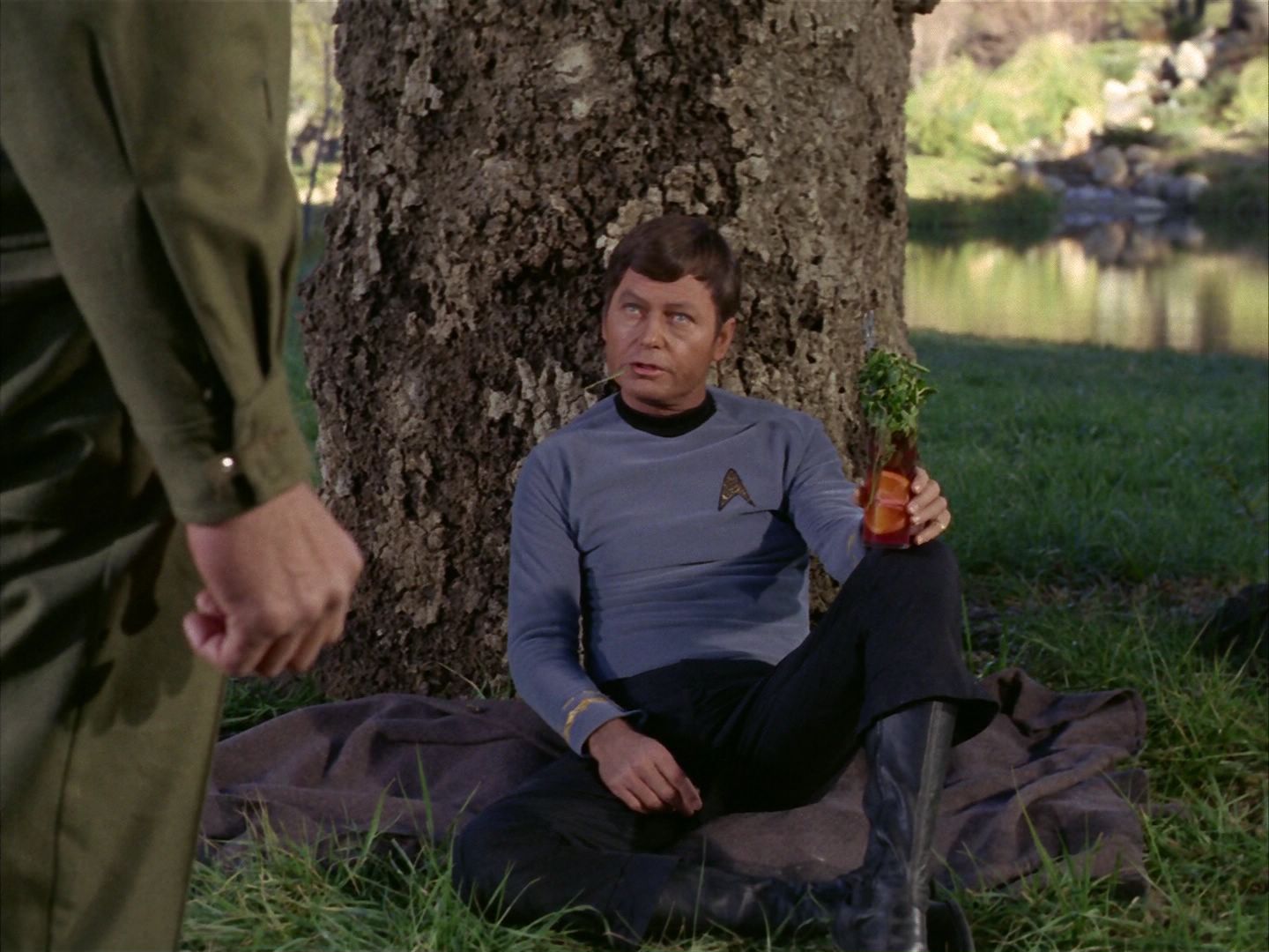 ariane179254_StarTrek_1x24_ThisSideOfParadise_2989.jpg