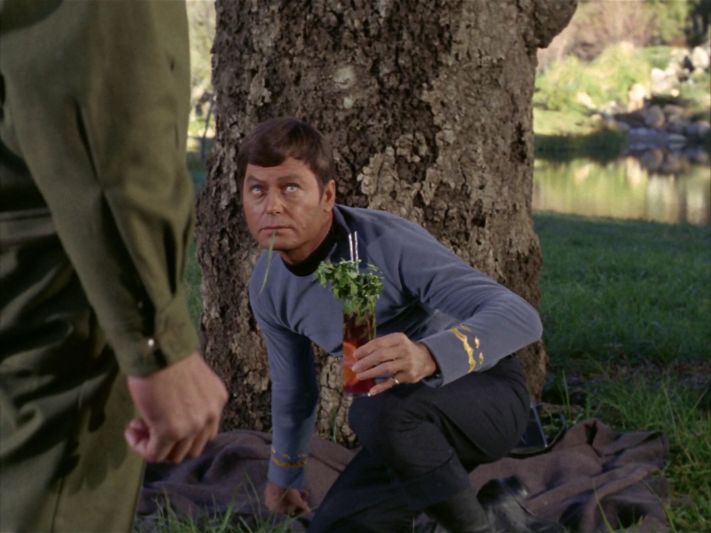 ariane179254_StarTrek_1x24_ThisSideOfParadise_2999.jpg