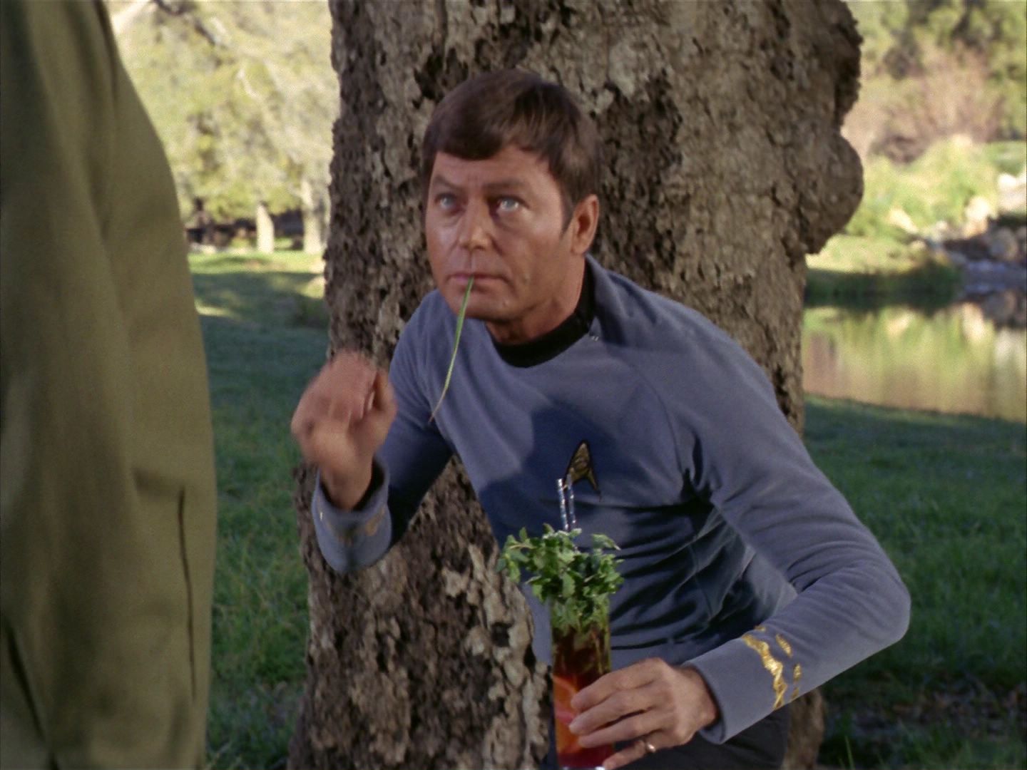 ariane179254_StarTrek_1x24_ThisSideOfParadise_3000.jpg