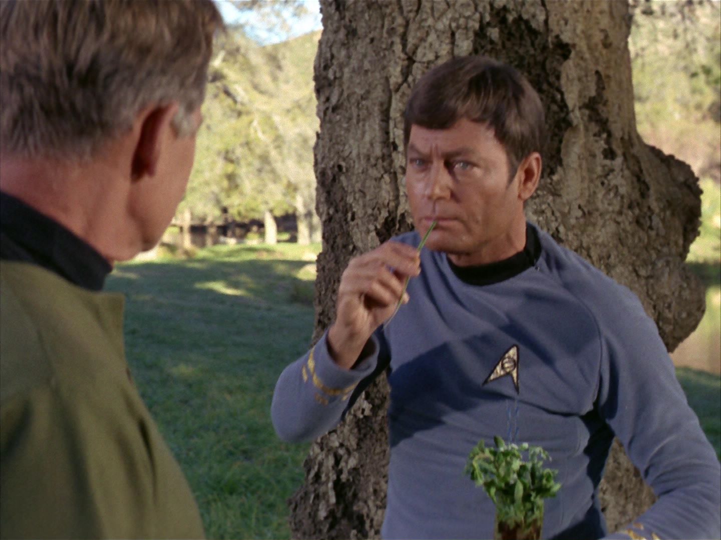 ariane179254_StarTrek_1x24_ThisSideOfParadise_3001.jpg