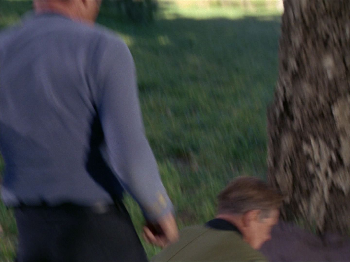 ariane179254_StarTrek_1x24_ThisSideOfParadise_3023.jpg