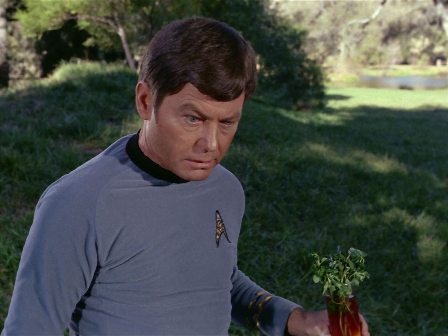 ariane179254_StarTrek_1x24_ThisSideOfParadise_3028.jpg