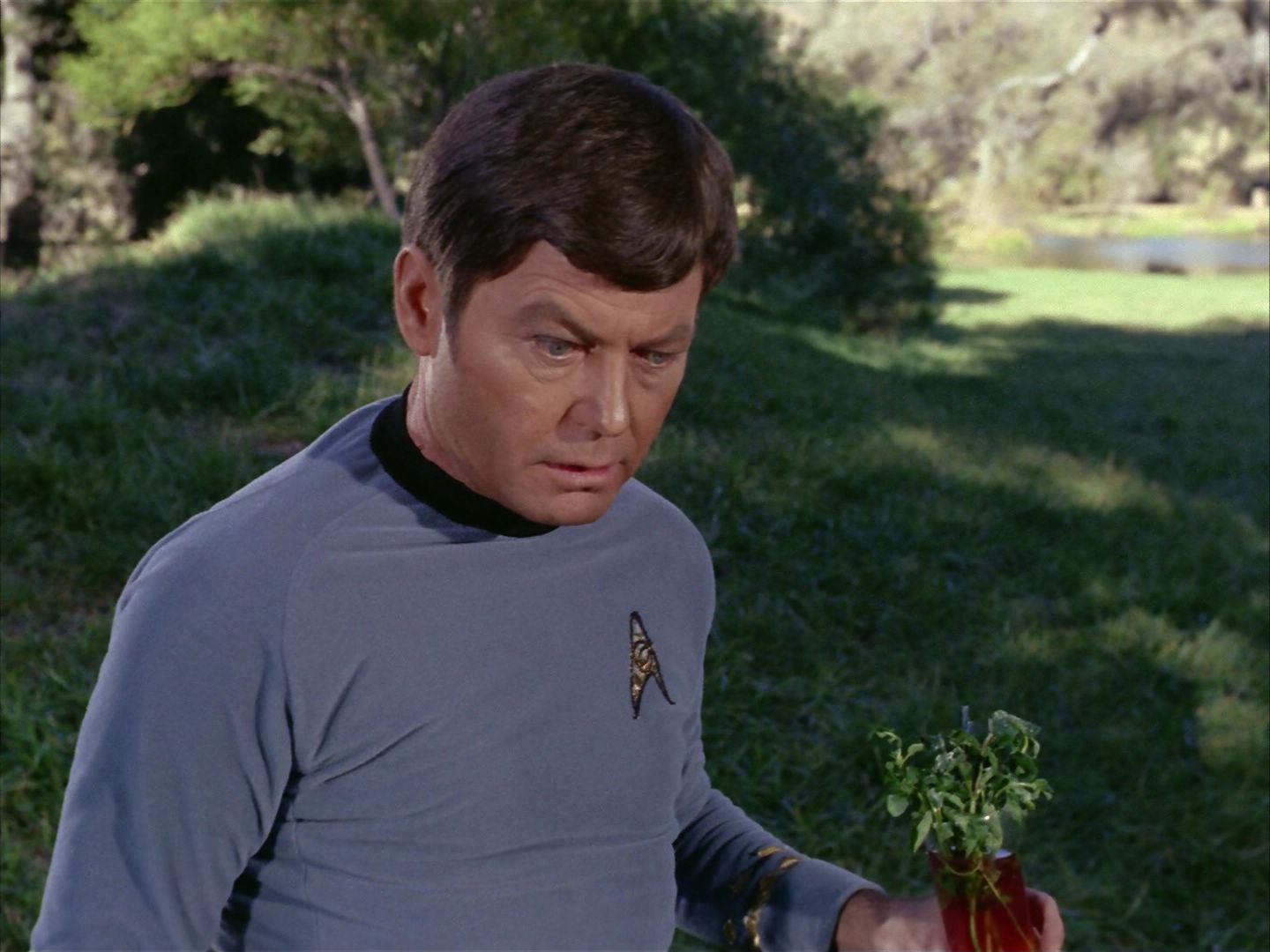 ariane179254_StarTrek_1x24_ThisSideOfParadise_3029.jpg