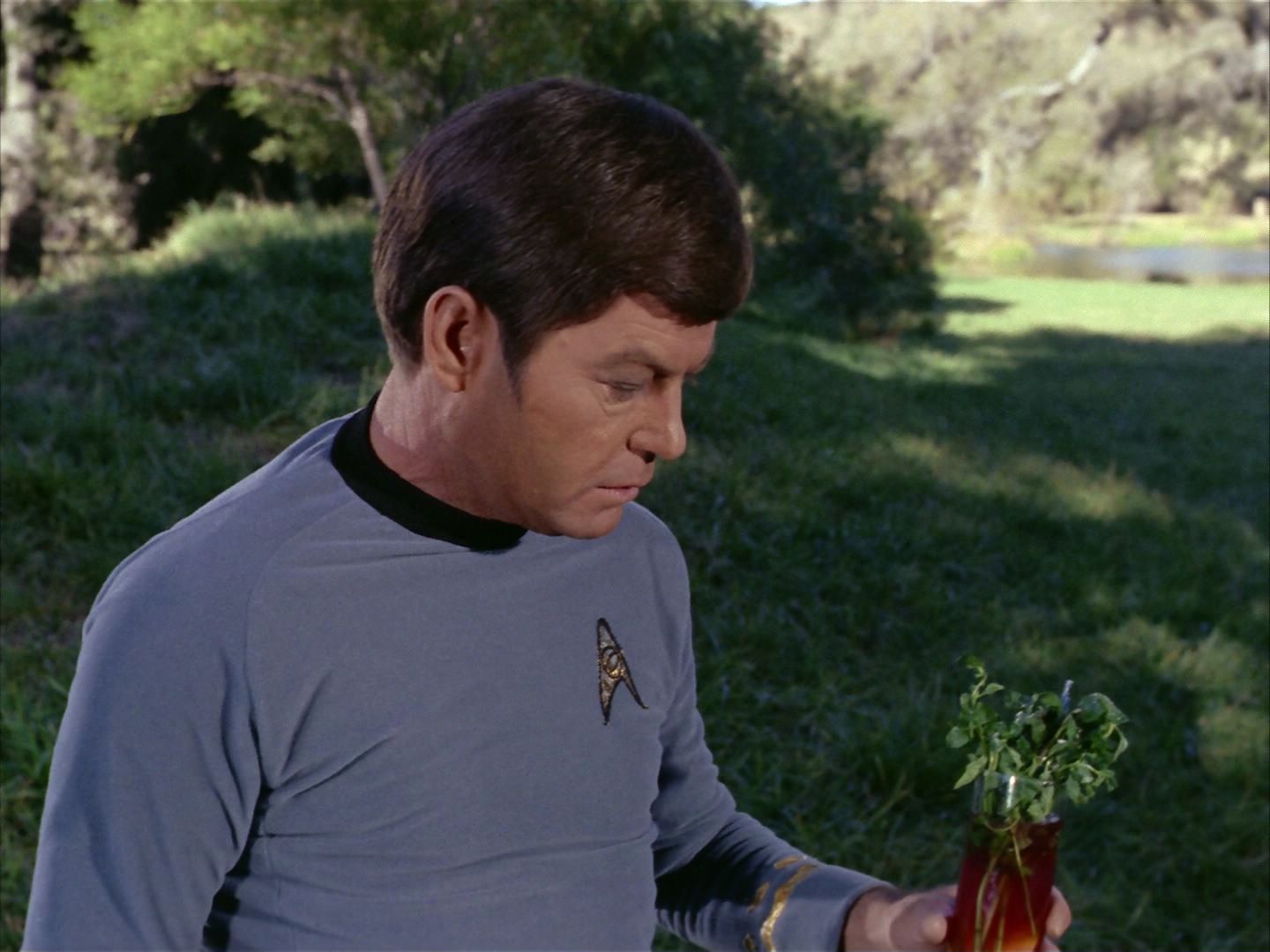 ariane179254_StarTrek_1x24_ThisSideOfParadise_3031.jpg