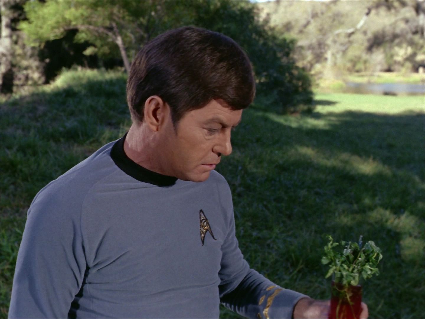 ariane179254_StarTrek_1x24_ThisSideOfParadise_3032.jpg