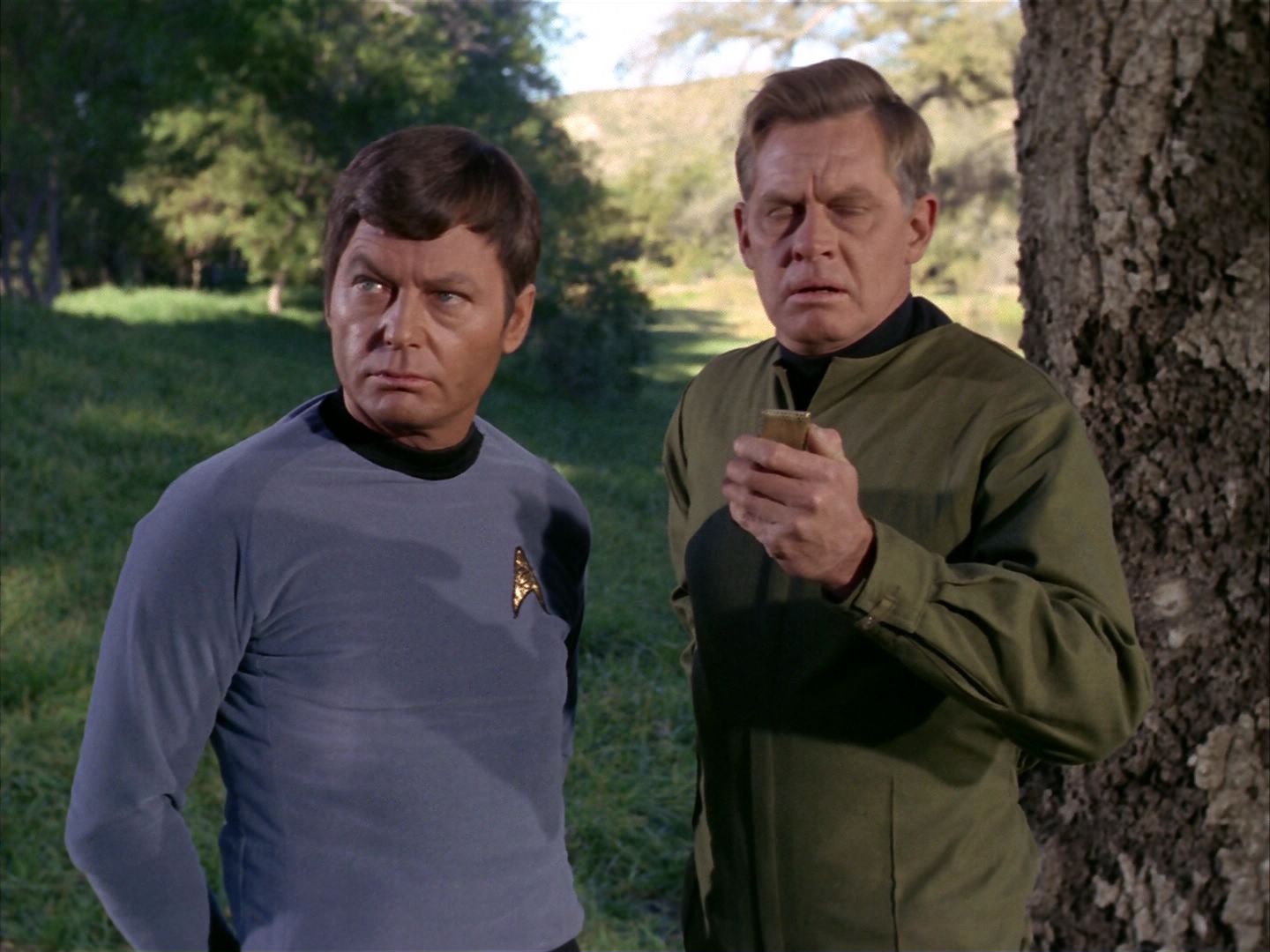 ariane179254_StarTrek_1x24_ThisSideOfParadise_3125.jpg
