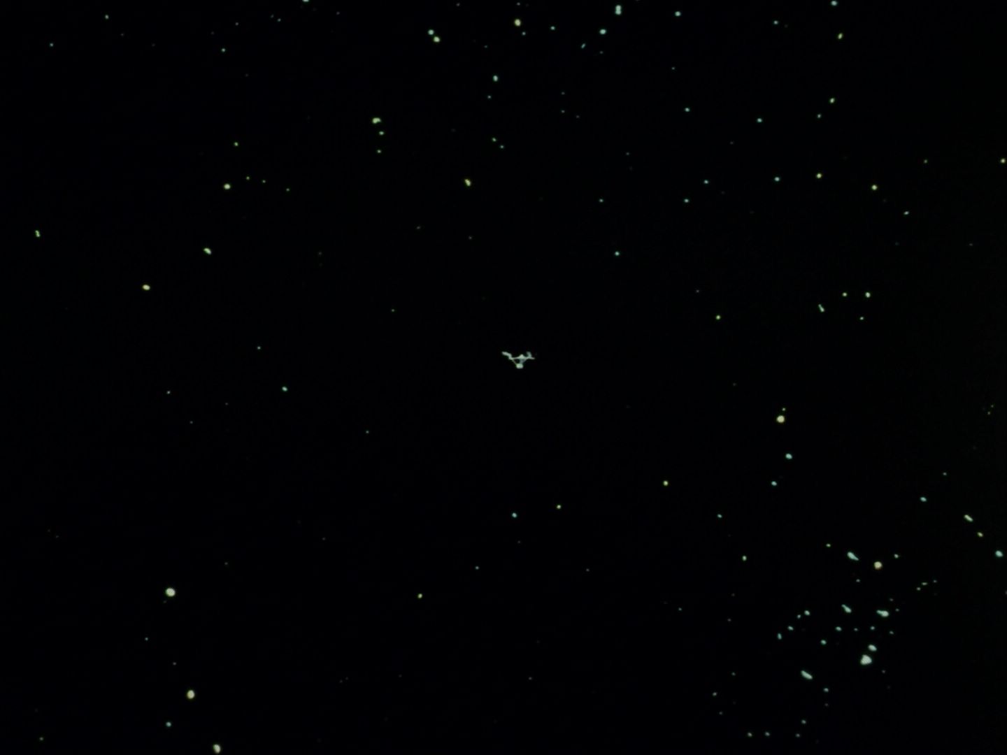 ariane179254_StarTrek_1x24_ThisSideOfParadise_3240.jpg