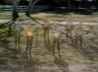 Filename=ariane179254_StarTrek_1x24_ThisSideOfParadise_0110.jpg
Filesize=170KiB
Dimensions=1440x1080
Date added=Sep 12, 2015 ariane179254_StarTrek_1x24_ThisSideOfParadise_0110.jpg