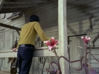 Filename=ariane179254_StarTrek_1x24_ThisSideOfParadise_0473.jpg
Filesize=163KiB
Dimensions=1440x1080
Date added=Sep 12, 2015 ariane179254_StarTrek_1x24_ThisSideOfParadise_0473.jpg