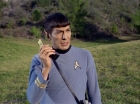 ariane179254_StarTrek_1x24_ThisSideOfParadise_0601.jpg
