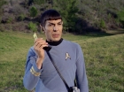 ariane179254_StarTrek_1x24_ThisSideOfParadise_0602.jpg