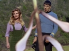 Filename=ariane179254_StarTrek_1x24_ThisSideOfParadise_0991.jpg
Filesize=139KiB
Dimensions=1440x1080
Date added=Sep 12, 2015 ariane179254_StarTrek_1x24_ThisSideOfParadise_0991.jpg