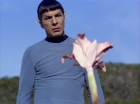 Filename=ariane179254_StarTrek_1x24_ThisSideOfParadise_0996.jpg
Filesize=155KiB
Dimensions=1440x1080
Date added=Sep 12, 2015 ariane179254_StarTrek_1x24_ThisSideOfParadise_0996.jpg