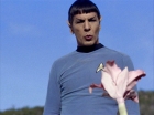 Filename=ariane179254_StarTrek_1x24_ThisSideOfParadise_0998.jpg
Filesize=159KiB
Dimensions=1440x1080
Date added=Sep 12, 2015 ariane179254_StarTrek_1x24_ThisSideOfParadise_0998.jpg