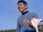 Filename=ariane179254_StarTrek_1x24_ThisSideOfParadise_1000.jpg
Filesize=160KiB
Dimensions=1440x1080
Date added=Sep 12, 2015 ariane179254_StarTrek_1x24_ThisSideOfParadise_1000.jpg
