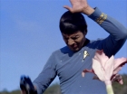 ariane179254_StarTrek_1x24_ThisSideOfParadise_1001.jpg