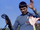 ariane179254_StarTrek_1x24_ThisSideOfParadise_1002.jpg