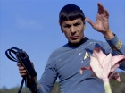 ariane179254_StarTrek_1x24_ThisSideOfParadise_1003.jpg