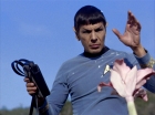 ariane179254_StarTrek_1x24_ThisSideOfParadise_1004.jpg