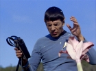 Filename=ariane179254_StarTrek_1x24_ThisSideOfParadise_1009.jpg
Filesize=158KiB
Dimensions=1440x1080
Date added=Sep 12, 2015 ariane179254_StarTrek_1x24_ThisSideOfParadise_1009.jpg