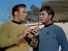 ariane179254_StarTrek_1x24_ThisSideOfParadise_1332.jpg