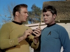 ariane179254_StarTrek_1x24_ThisSideOfParadise_1333.jpg