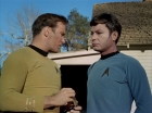 ariane179254_StarTrek_1x24_ThisSideOfParadise_1340.jpg