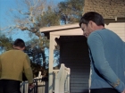 ariane179254_StarTrek_1x24_ThisSideOfParadise_1354.jpg