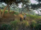 ariane179254_StarTrek_1x24_ThisSideOfParadise_1359.jpg