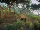 ariane179254_StarTrek_1x24_ThisSideOfParadise_1360.jpg