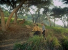 ariane179254_StarTrek_1x24_ThisSideOfParadise_1361.jpg
