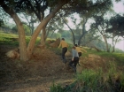 ariane179254_StarTrek_1x24_ThisSideOfParadise_1362.jpg