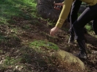 ariane179254_StarTrek_1x24_ThisSideOfParadise_1364.jpg