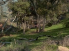 ariane179254_StarTrek_1x24_ThisSideOfParadise_1383.jpg