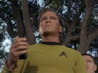 ariane179254_StarTrek_1x24_ThisSideOfParadise_1395.jpg