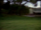 ariane179254_StarTrek_1x24_ThisSideOfParadise_1400.jpg