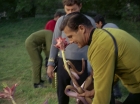 ariane179254_StarTrek_1x24_ThisSideOfParadise_1416.jpg