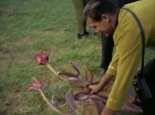 ariane179254_StarTrek_1x24_ThisSideOfParadise_1417.jpg