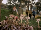 ariane179254_StarTrek_1x24_ThisSideOfParadise_1486.jpg