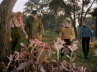 ariane179254_StarTrek_1x24_ThisSideOfParadise_1488.jpg
