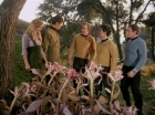 Filename=ariane179254_StarTrek_1x24_ThisSideOfParadise_1491.jpg
Filesize=199KiB
Dimensions=1440x1080
Date added=Sep 12, 2015 ariane179254_StarTrek_1x24_ThisSideOfParadise_1491.jpg