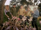 Filename=ariane179254_StarTrek_1x24_ThisSideOfParadise_1492.jpg
Filesize=207KiB
Dimensions=1440x1080
Date added=Sep 12, 2015 ariane179254_StarTrek_1x24_ThisSideOfParadise_1492.jpg