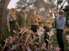 Filename=ariane179254_StarTrek_1x24_ThisSideOfParadise_1494.jpg
Filesize=197KiB
Dimensions=1440x1080
Date added=Sep 12, 2015 ariane179254_StarTrek_1x24_ThisSideOfParadise_1494.jpg