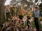 ariane179254_StarTrek_1x24_ThisSideOfParadise_1495.jpg
