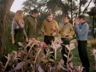 ariane179254_StarTrek_1x24_ThisSideOfParadise_1496.jpg