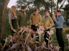 Filename=ariane179254_StarTrek_1x24_ThisSideOfParadise_1498.jpg
Filesize=197KiB
Dimensions=1440x1080
Date added=Sep 12, 2015 ariane179254_StarTrek_1x24_ThisSideOfParadise_1498.jpg